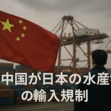 中国による日本産水産物の輸入停止ー原因・影響・今後の対策を徹底解説