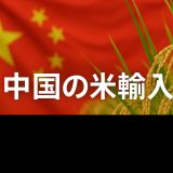 【2026年最新版】中国の米輸入の最新動向と日本への影響とは